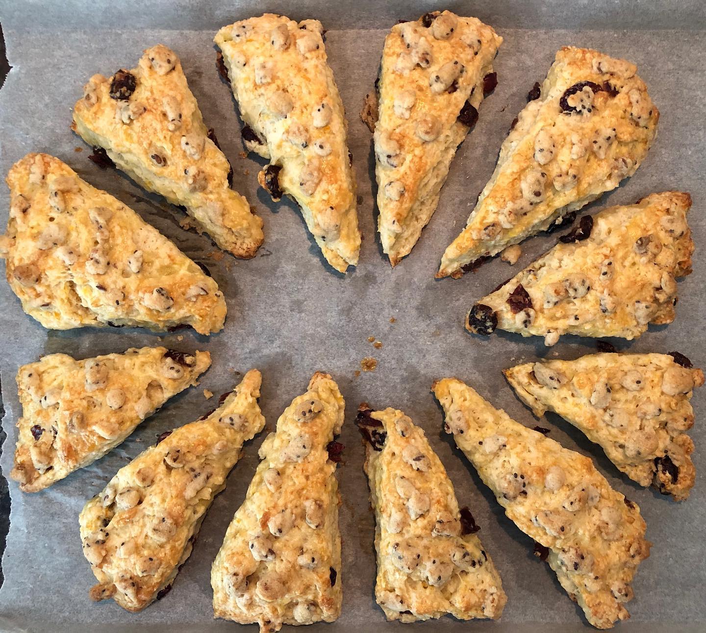 Today’s quarantine project: cranberry-orange scones. Soaked the dried cranberries in rum and milk before mixing in, and topped with granola crumble. #quarantinebaking #scones