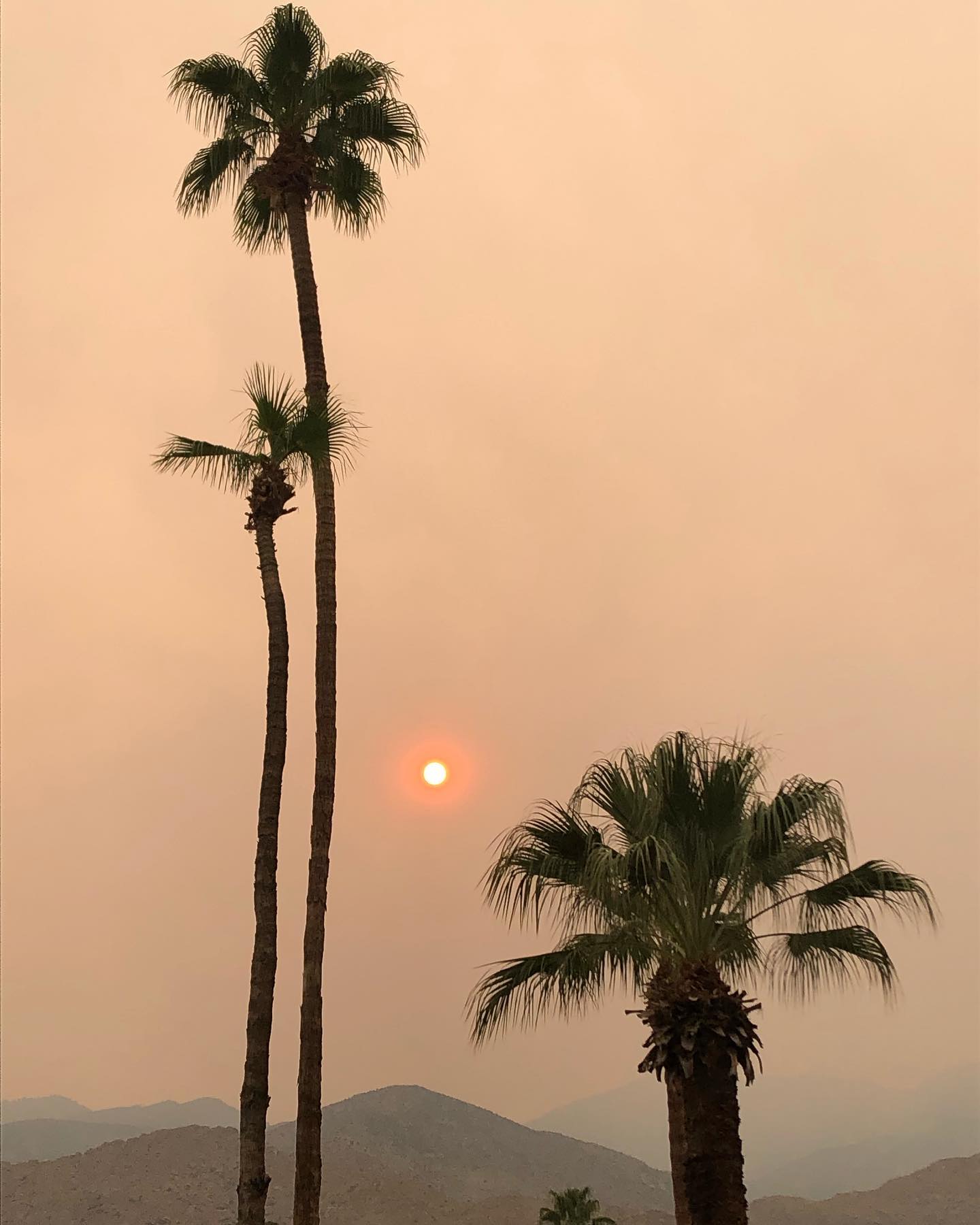 California burning. Safe in town, but the air is scary.