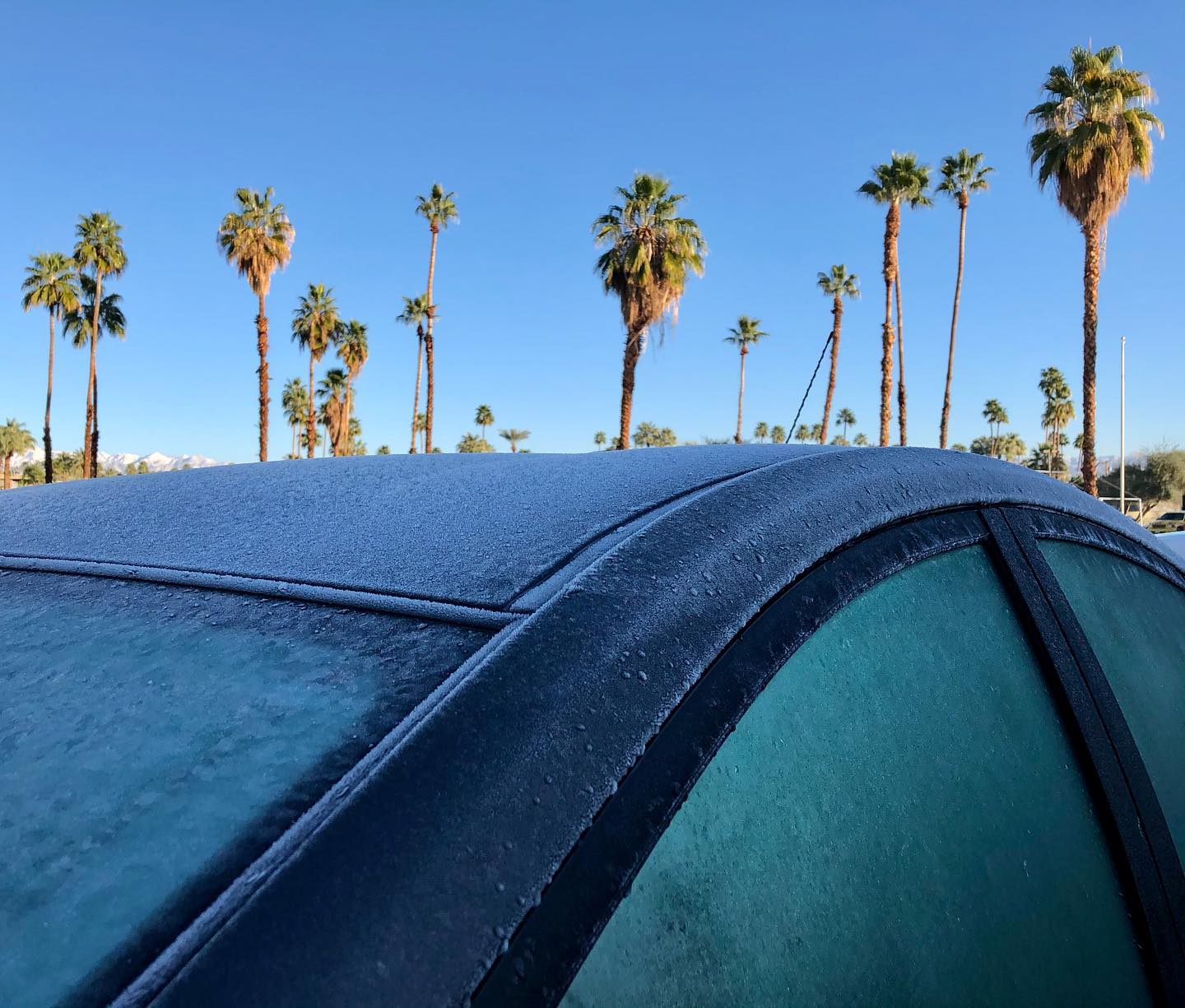 Here’s a new one: defrosting the car in the desert.